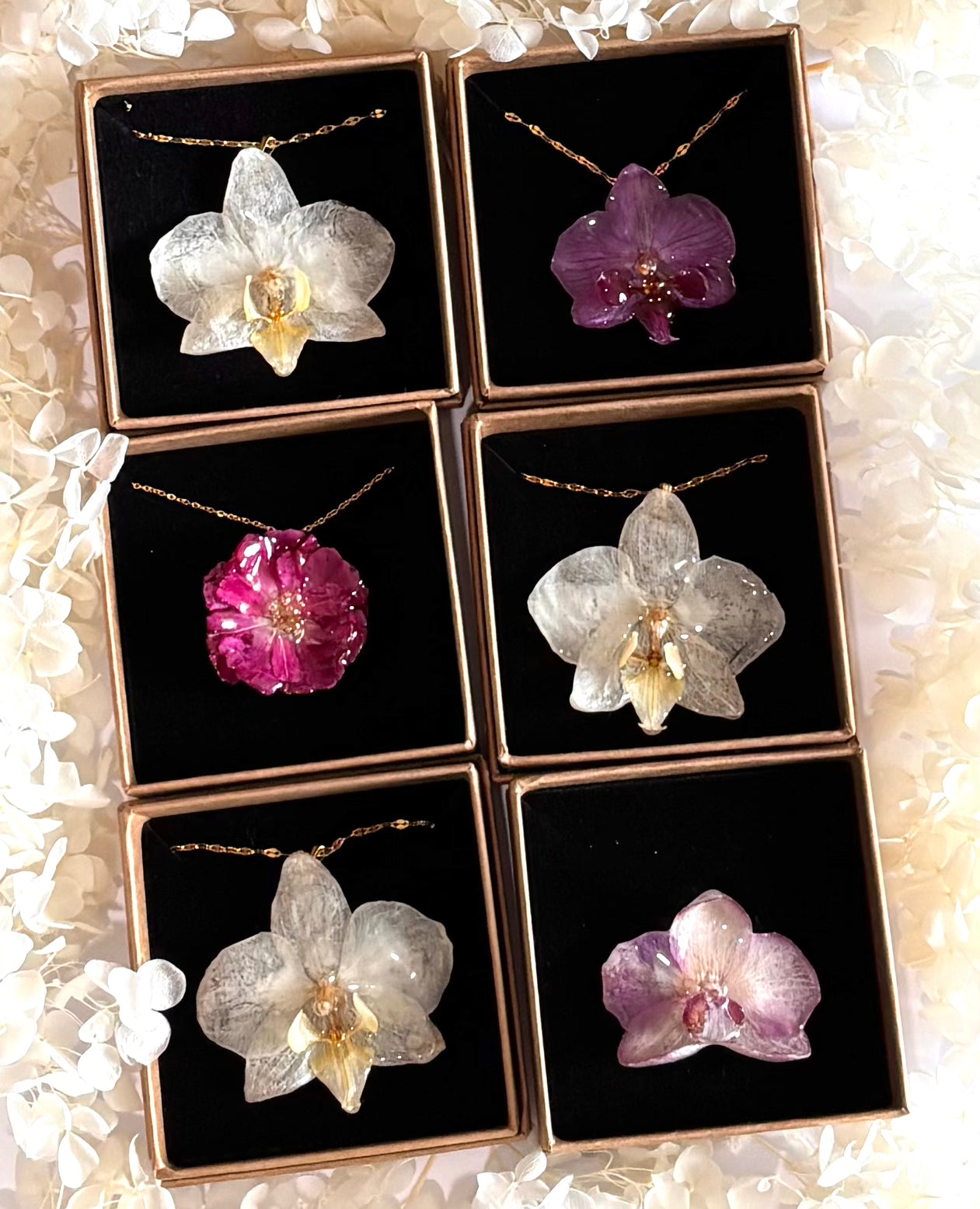 Les Fleurs Encapsulées