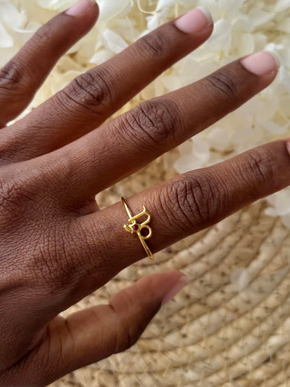 Bague Capricorne