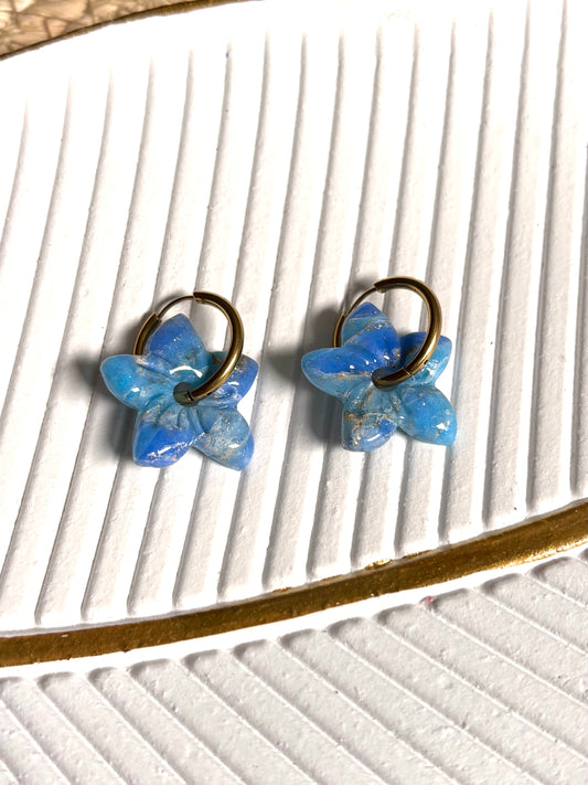 Boucles d’oreilles